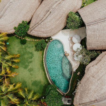 Villa Omah Padi Ubud Zewnętrze zdjęcie