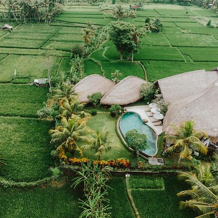 Villa Omah Padi Ubud Zewnętrze zdjęcie