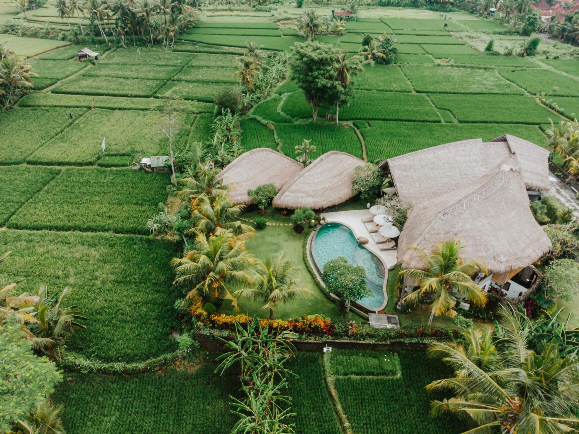 Villa Omah Padi Ubud Zewnętrze zdjęcie