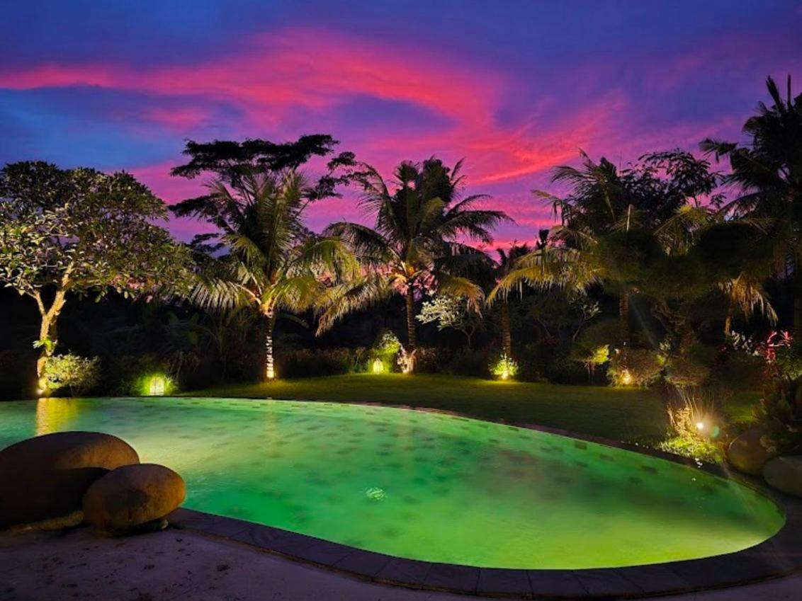 Villa Omah Padi Ubud Zewnętrze zdjęcie